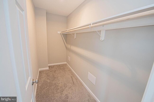 Building Photo - 243 Morgans Ct