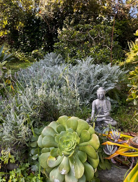 Peaceful Garden - 1212 Fernwood Pacific Dr