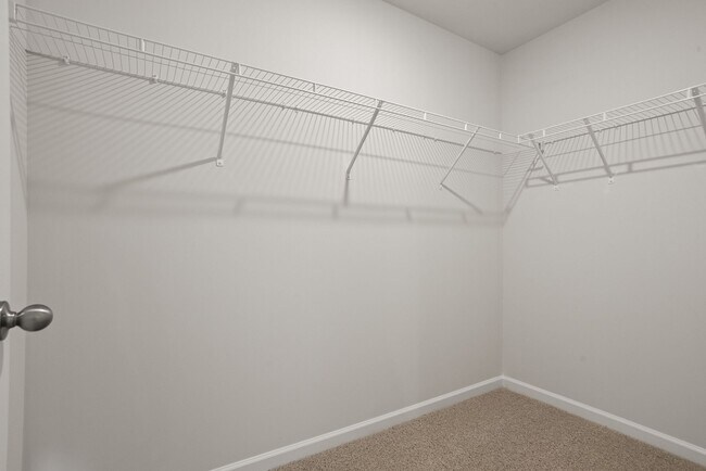 Building Photo - 215 Deskin Ln