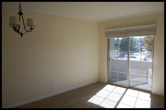 Primary Photo - Gorgeous One Bedroom Condo in DownTown of ...