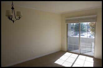 Building Photo - Gorgeous One Bedroom Condo in DownTown of ...