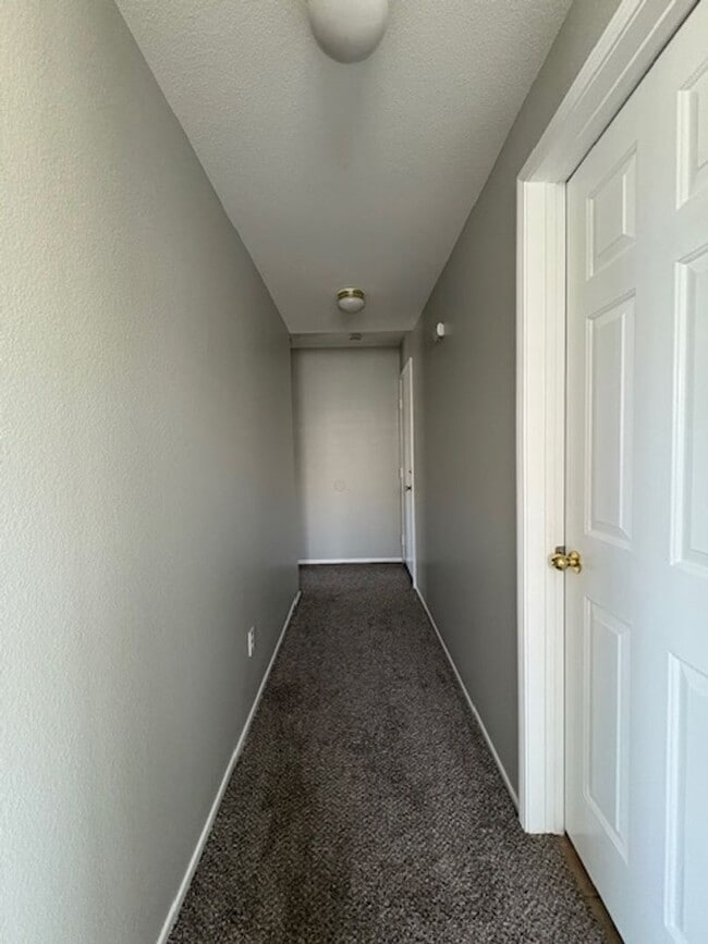 Building Photo - 4 Bedroom with NEW Carpet & Paint