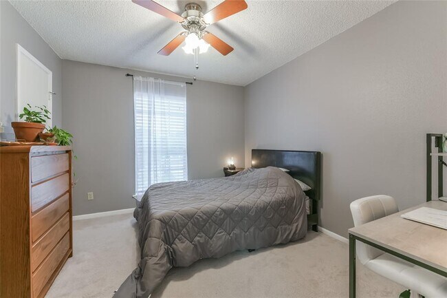 Building Photo - 2120 El Paseo St