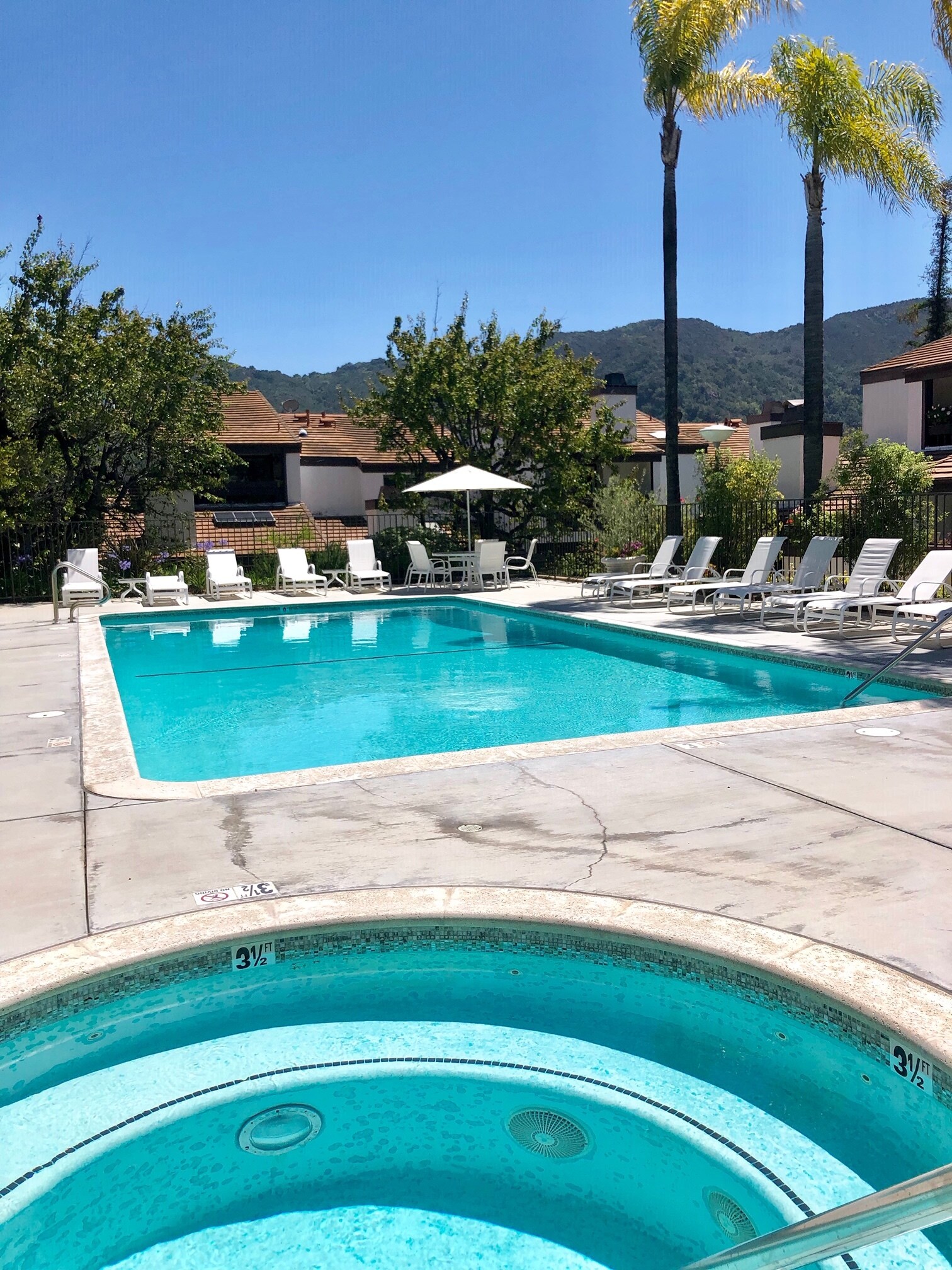 Pool - 17195 Palisades Cir