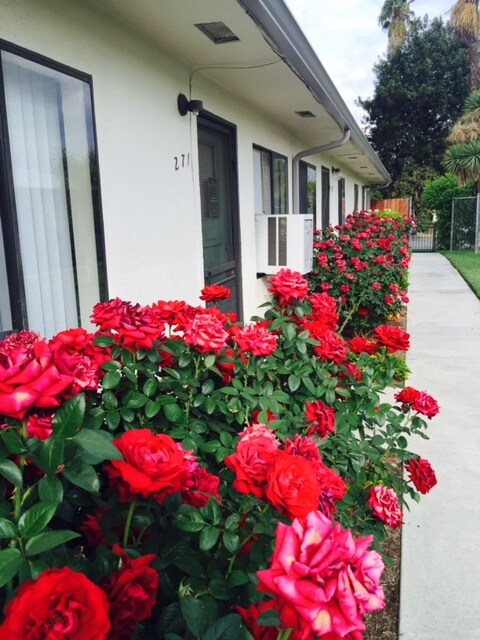 Building Photo - 263 N Florence St