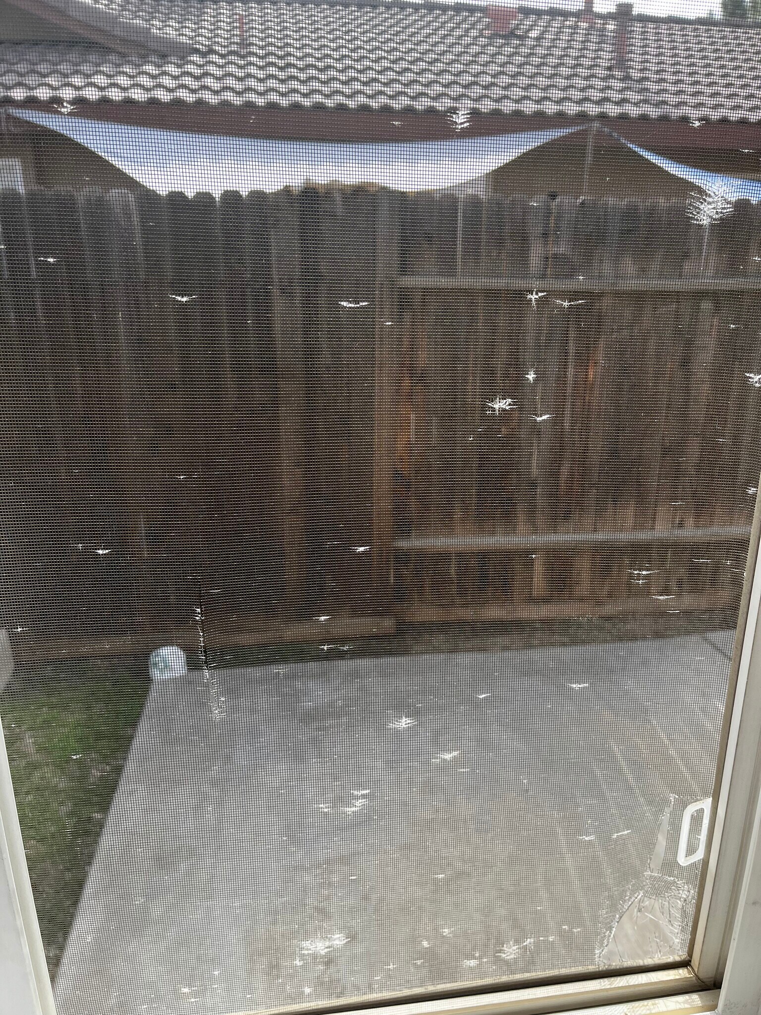 Small enclosed yard - 8325 White Squall Ln