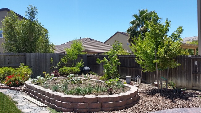 Building Photo - Charming 4 Bedroom Home in Springlake