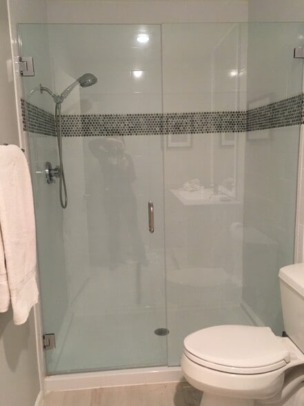 Guest bath shower - 266 S Madison Ave