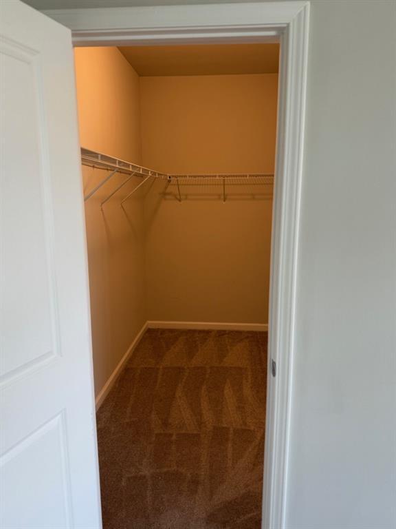 Building Photo - 113 Candler Park Dr