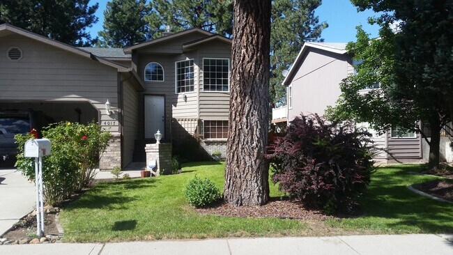 Building Photo - Beautiful South Hill Home!