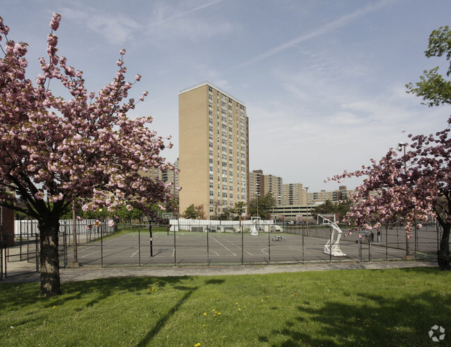 Building Photo - Spring Creek Towers