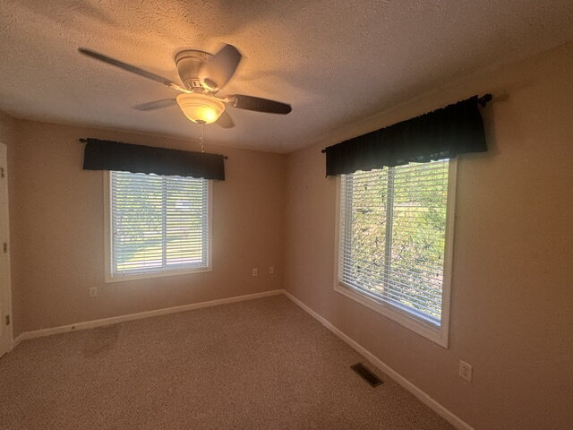 Building Photo - Mountain Home with Panoramic Skyline Drive Views available June 30th!