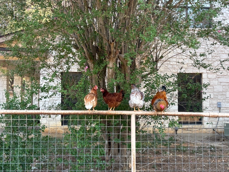 Building Photo - 187 Oak Park Rd