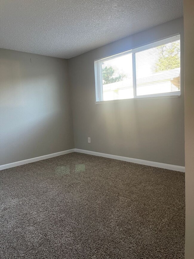 Building Photo - 3 Bedroom 2 Bathroom Condo in Lakewood