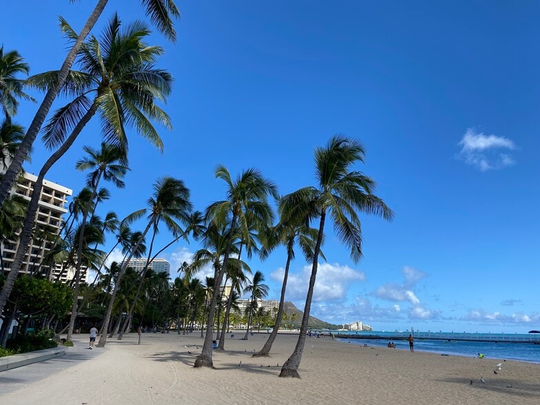 Waikiki Beach - 1778 Ala Moana Blvd