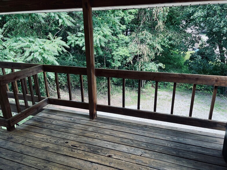 Upstairs back deck - 223 N Lincoln St