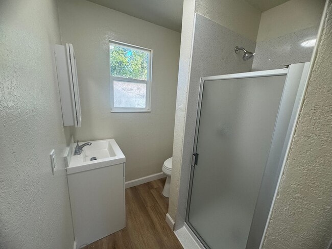 Building Photo - Remodeled Studio Near Sutter Park & Tower ...