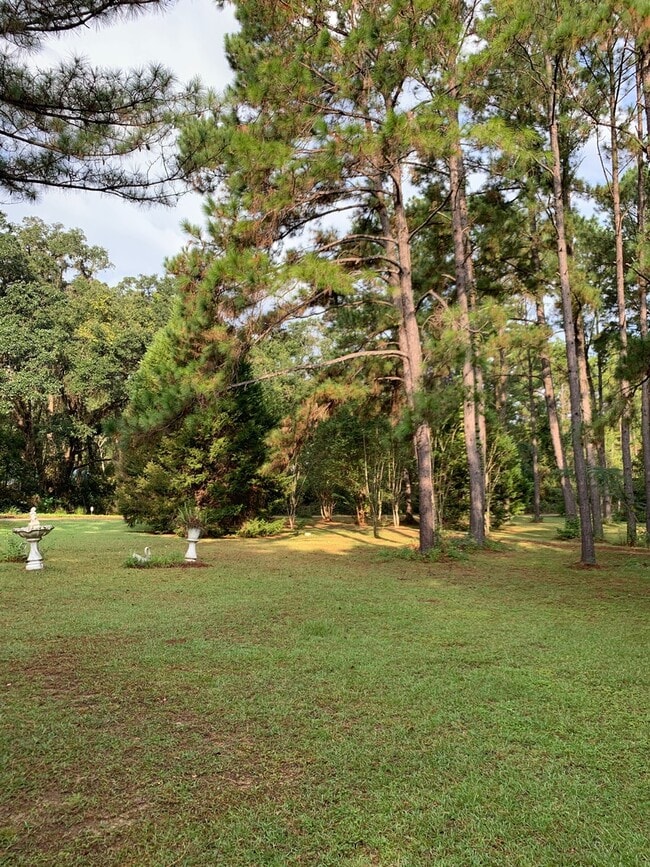 Primary Photo - Furnished spacious 3/2.5 home. Corporate a...