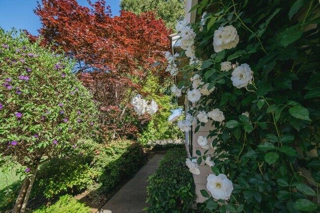 Building Photo - Fabulous spacious home, Great Highlands cul de sac, easy commute, exceptional Cupertino Schools!