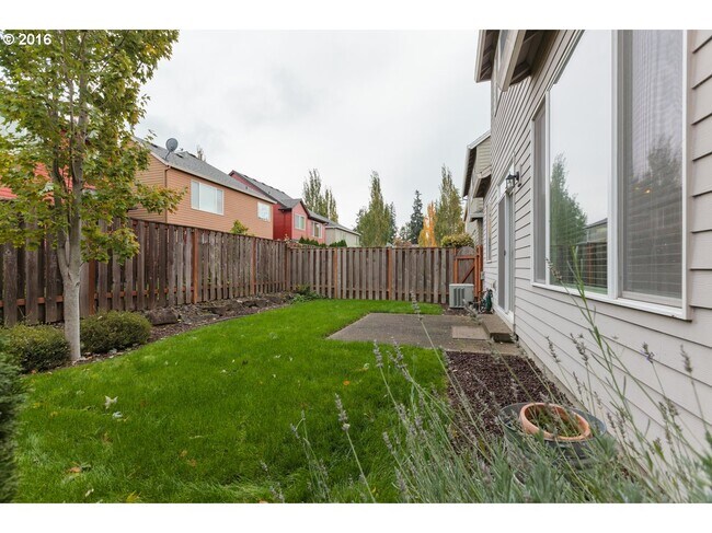 Back Yard - 1120 SE Tamora Ave