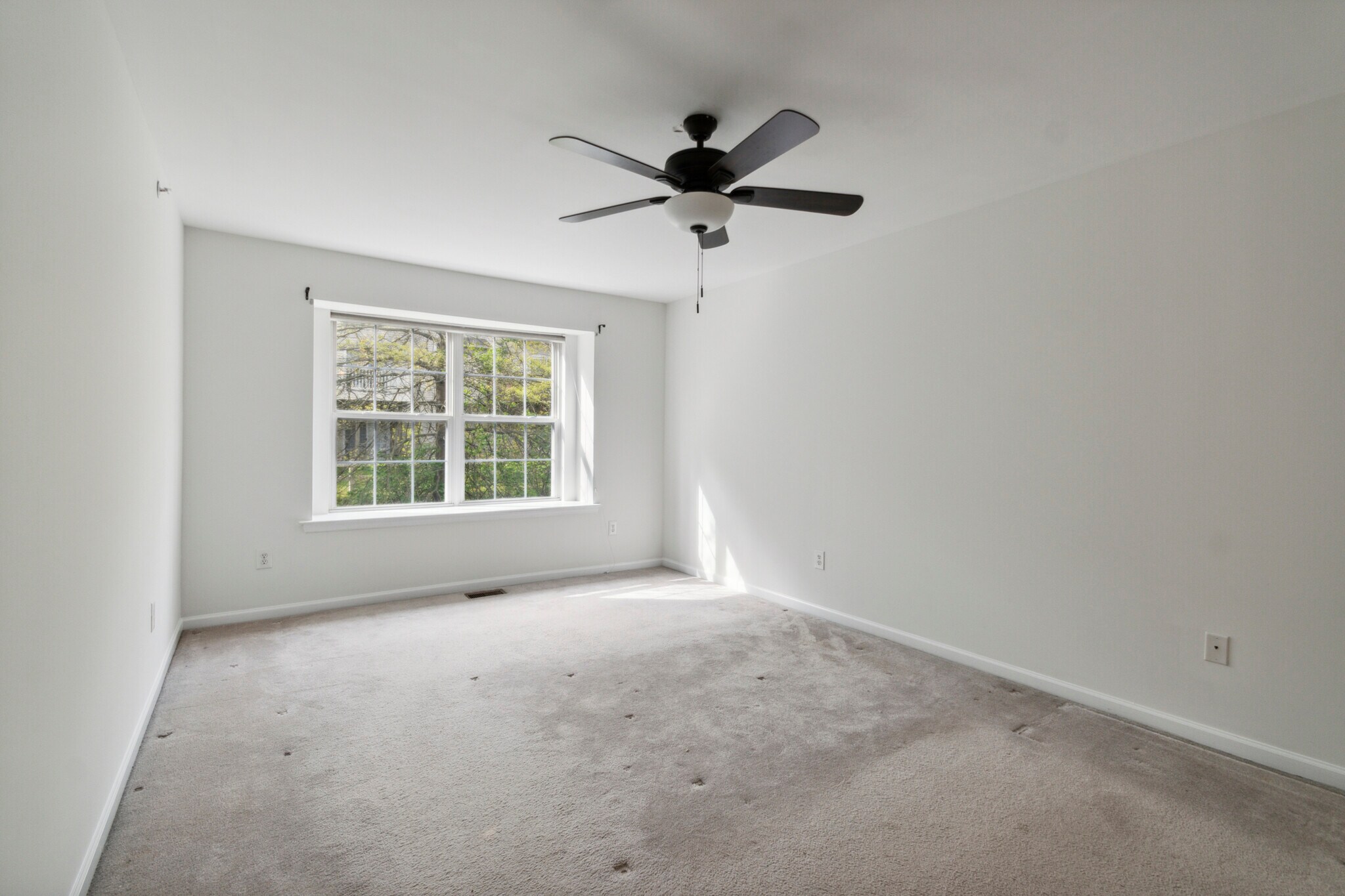 Building Photo - 232 Tall Pines Dr