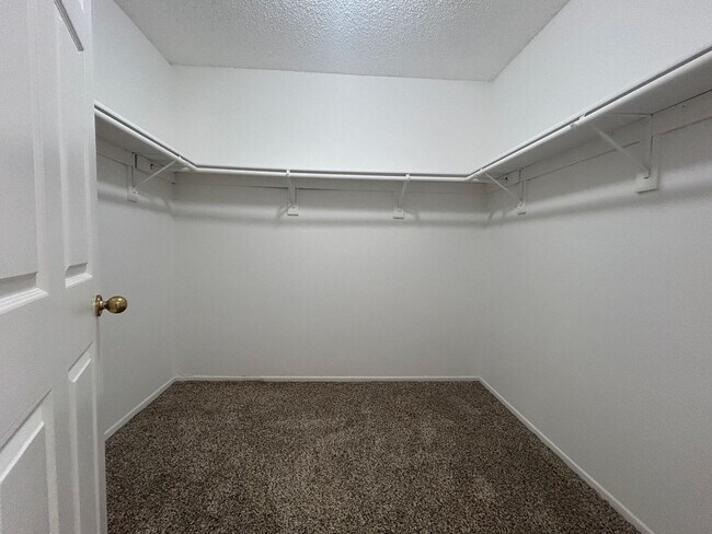 Building Photo - 3068 Prado Ln