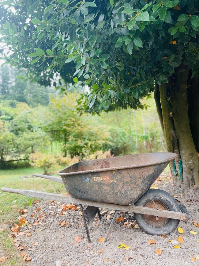 Building Photo - Historic and Peaceful Bainbridge Island Farm