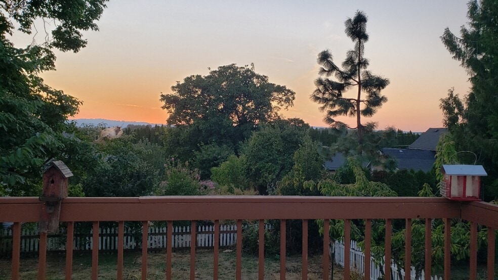 view from deck - 607 N 1st Ave