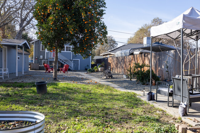 Building Photo - 729 Solano St