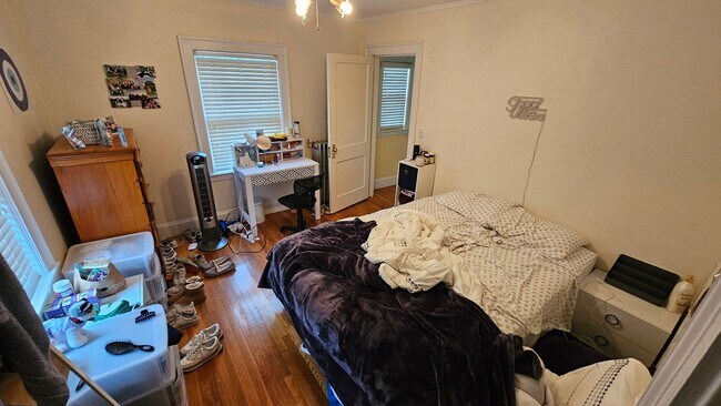 Building Photo - Walk to BC Campus. Lage Unit. In Unit Laundry. Always BC Favorite