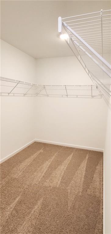 Building Photo - 456 Silverleaf Trl