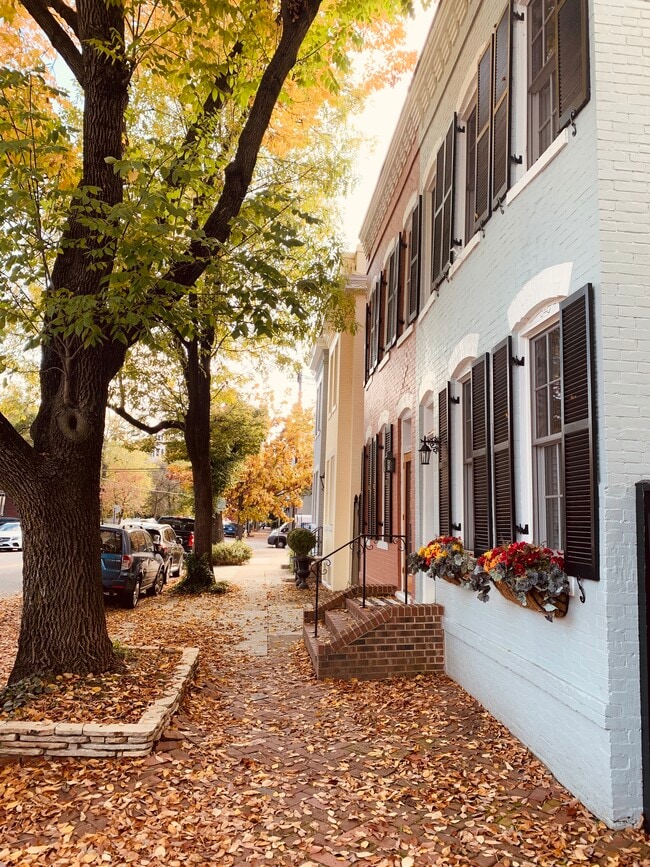 Fall in Old Town - 504 Bashford Ln