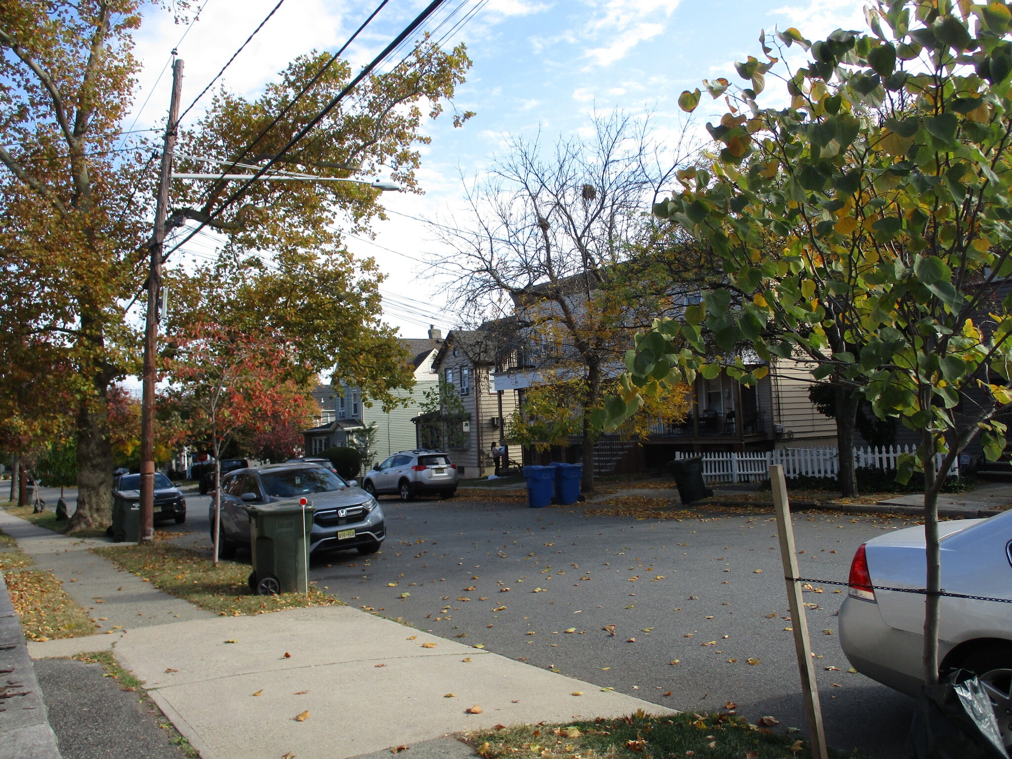 Street view - 88 Feronia Way