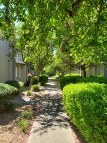 Path just outside front door. - 1710 Oldfield Way