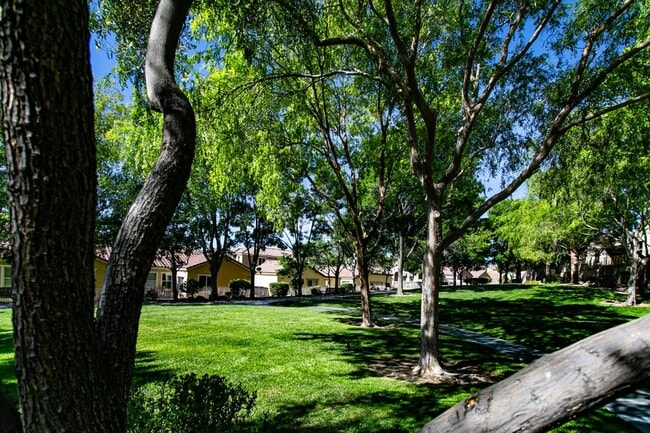 Building Photo - Well Kept Summerlin 3 Bedroom Home
