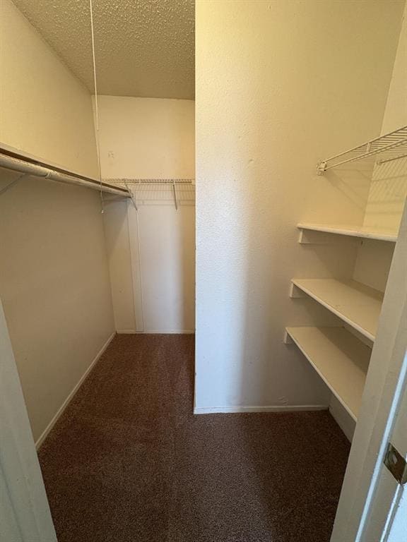 Building Photo - 9609 Bear Paw Trail