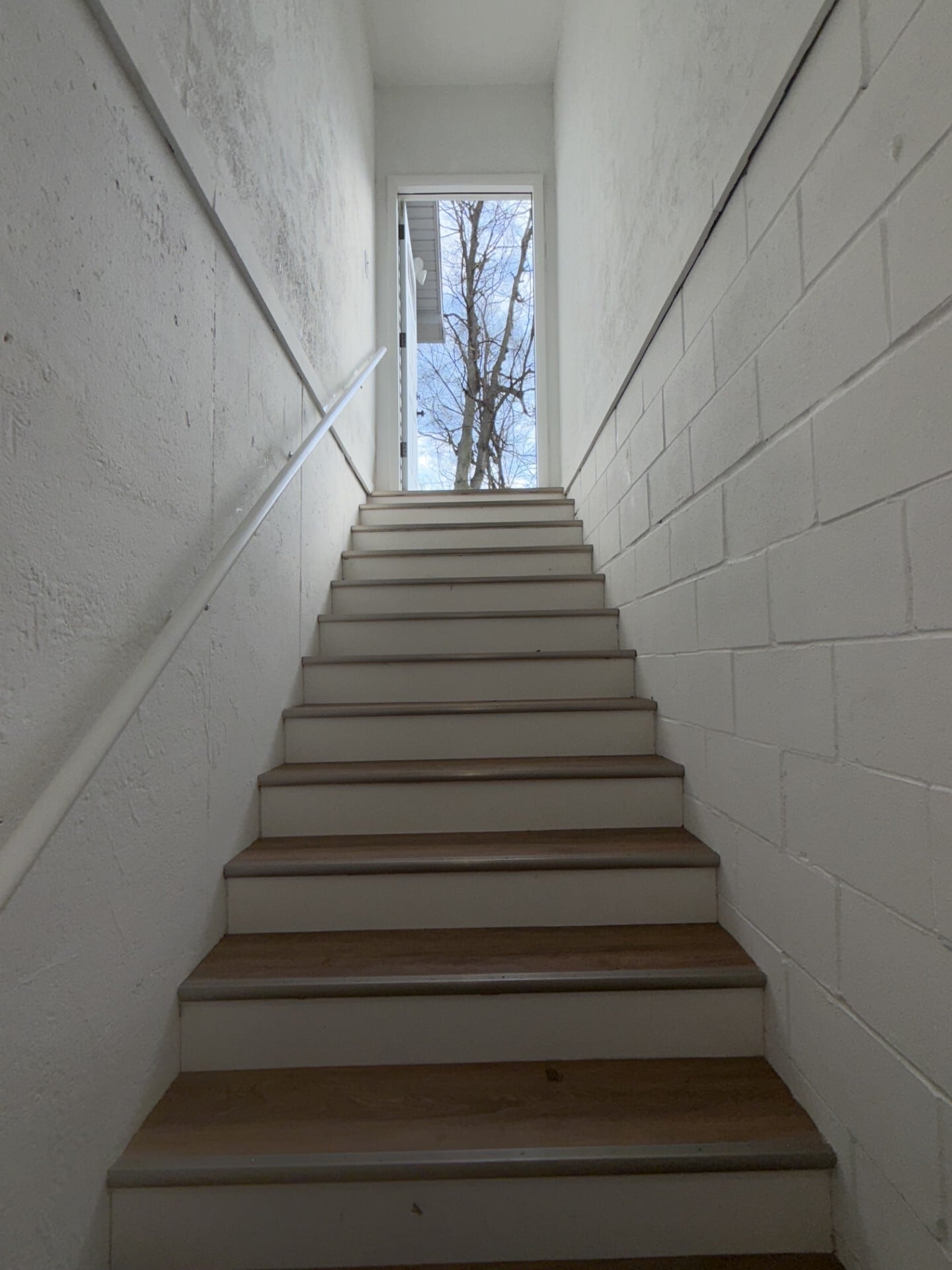 Walkup - 513 Bernard Ave