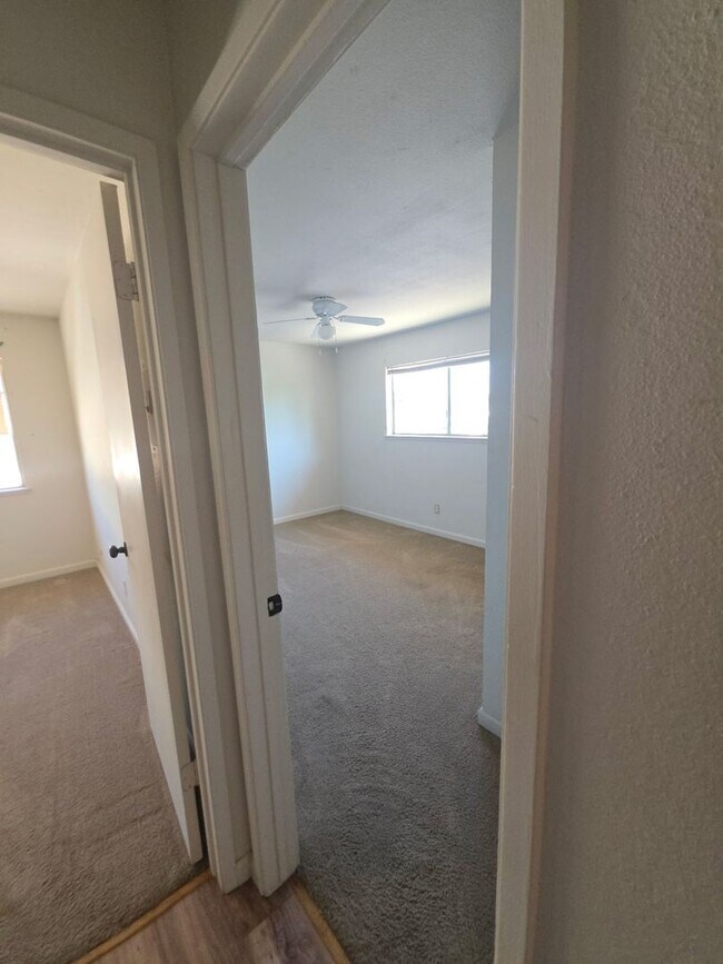 Building Photo - 3564 Sapphire Dr