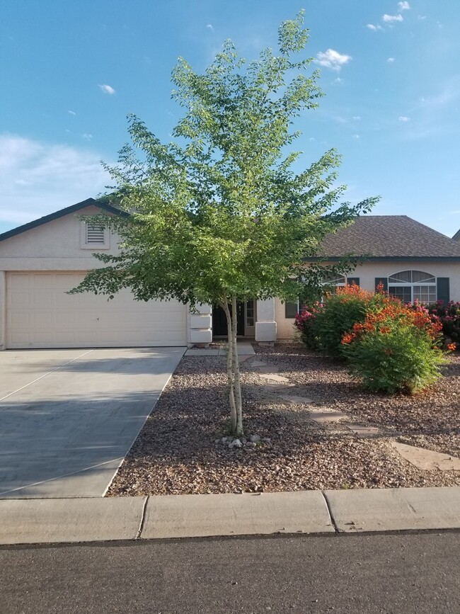 Primary Photo - Fantastic 3 bedroom Home in Queen Creek!