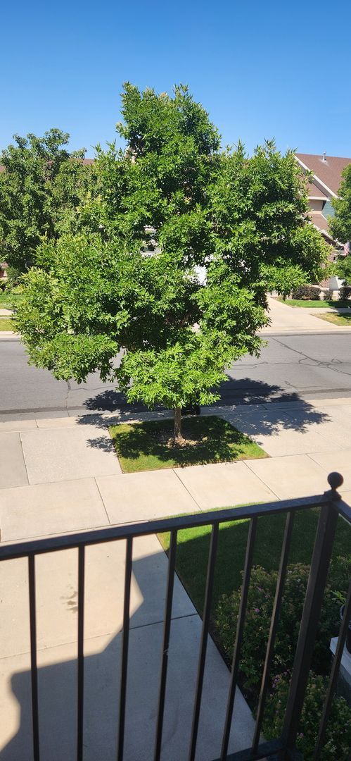 Building Photo - Luxury 3 Bedroom Plus Den in Sandy!