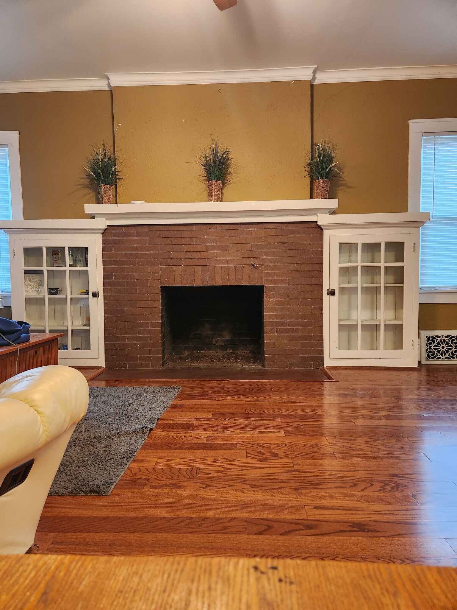 Fireplace - 510 N Institute Pl
