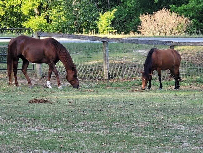 Building Photo - 331 Glenwood Dr