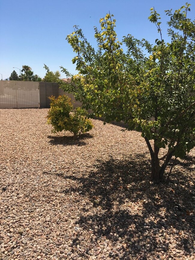 Building Photo - Great single-story home, 3brms, 2bath, 2crg.