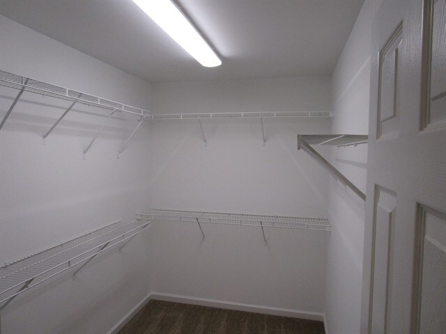 Building Photo - 809 Plaintain Dr