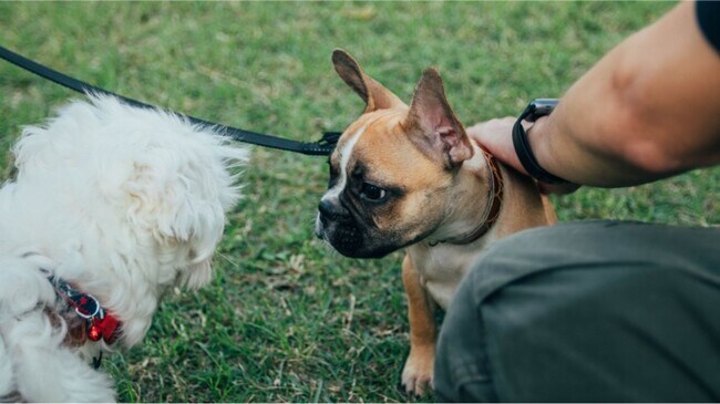 Building Photo - PRICE DROP!  Enjoy this New home in Eagle Ridge!