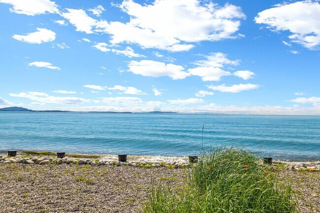 Building Photo - 4183 Sucia Dr