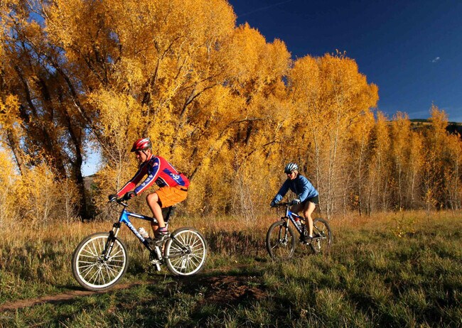 Building Photo - 705 Nogal Rd