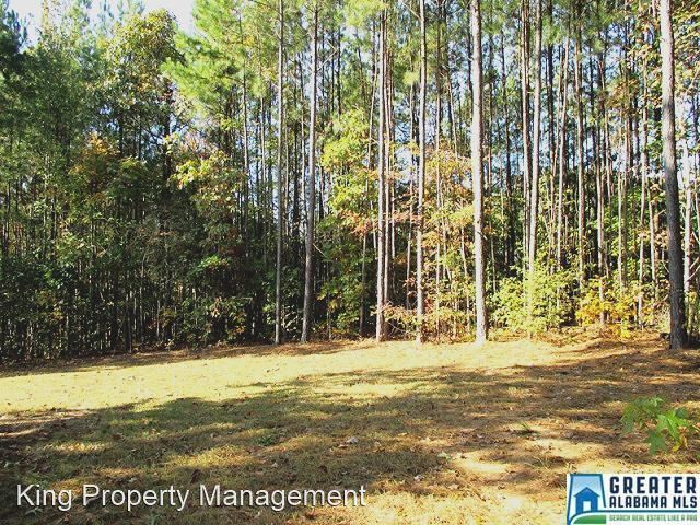 Building Photo - 3 br, 2 bath House - 51 Bee Cove Road