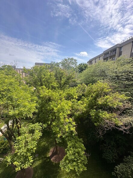 Building Photo - 6001 Arlington Blvd