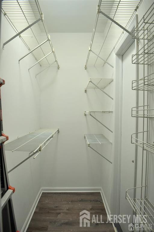 Building Photo - 3181 Cypress Ct